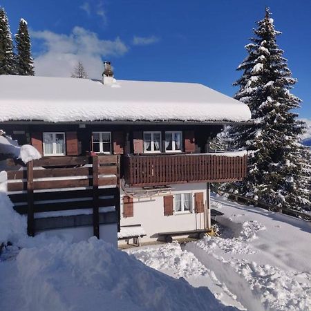 Chalet Grazia Riederalp Εξωτερικό φωτογραφία