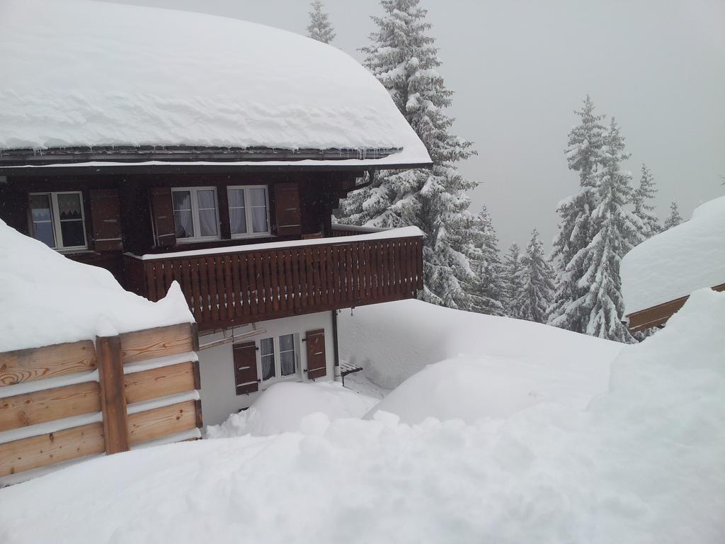 Chalet Grazia Riederalp Εξωτερικό φωτογραφία
