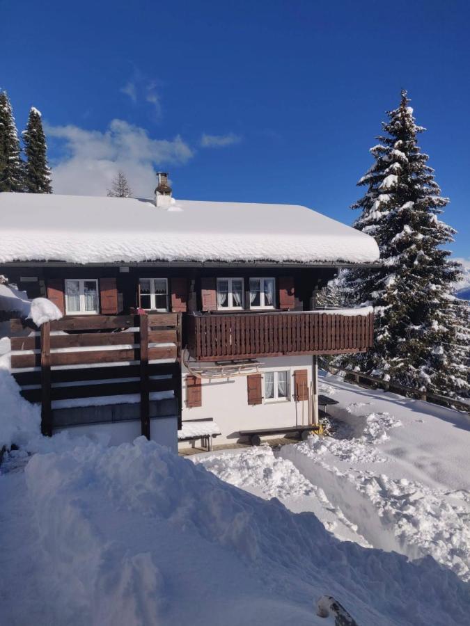 Chalet Grazia Riederalp Εξωτερικό φωτογραφία